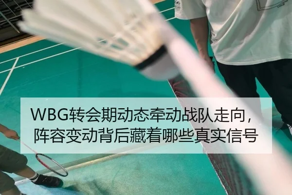 WBG转会期动态牵动战队走向，阵容变动背后藏着哪些真实信号